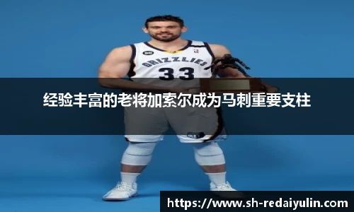 经验丰富的老将加索尔成为马刺重要支柱