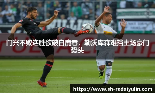 门兴不败连胜欲破白鹿巷，勒沃库森难挡主场豪门势头