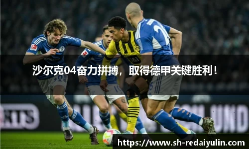 沙尔克04奋力拼搏，取得德甲关键胜利！