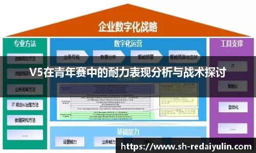 V5在青年赛中的耐力表现分析与战术探讨