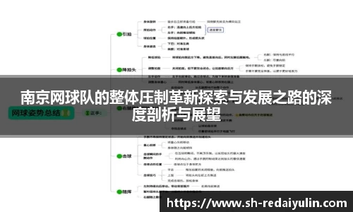 南京网球队的整体压制革新探索与发展之路的深度剖析与展望