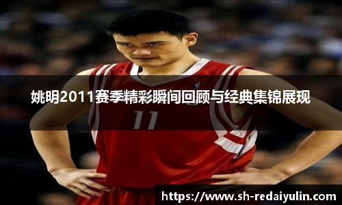 姚明2011赛季精彩瞬间回顾与经典集锦展现