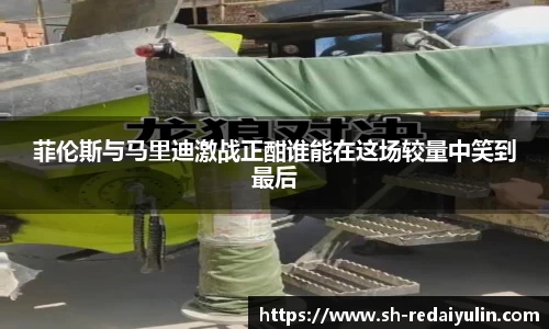 菲伦斯与马里迪激战正酣谁能在这场较量中笑到最后