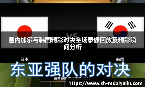 塞内加尔与韩国精彩对决全场录像回放及精彩瞬间分析