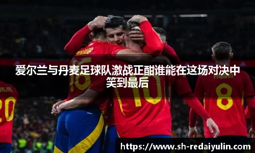 爱尔兰与丹麦足球队激战正酣谁能在这场对决中笑到最后