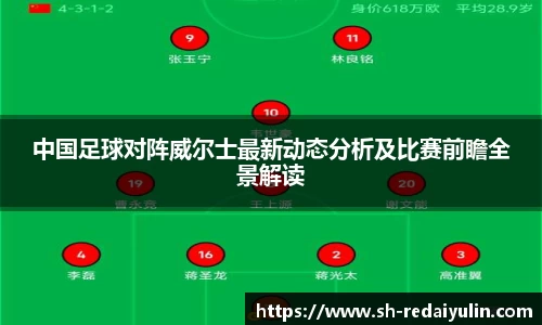 中国足球对阵威尔士最新动态分析及比赛前瞻全景解读